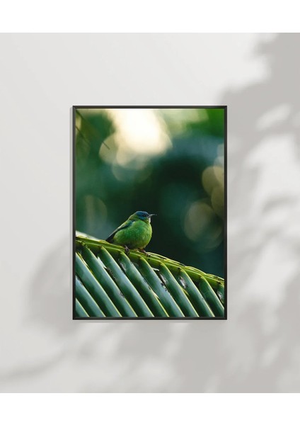 Daldaki Yeşil Kuş Poster