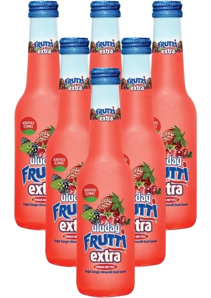 Uludağ Frutti Extra Orman Meyveli Soda 250 ml 6'lı Paket