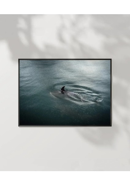 Suyun Içinde Poster