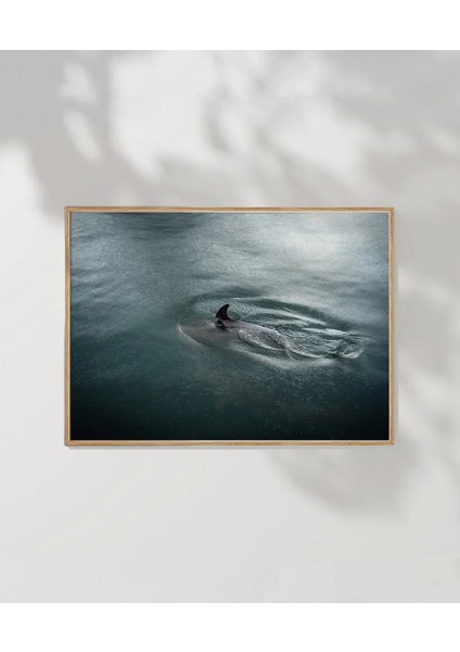 Suyun Içinde Poster modelleri