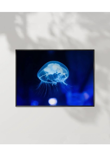 Işıkta Yüzen Meduza Poster