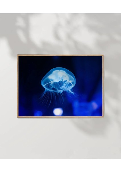 Işıkta Yüzen Meduza Poster fırsatları