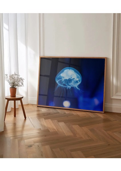 Işıkta Yüzen Meduza Poster indirimleri