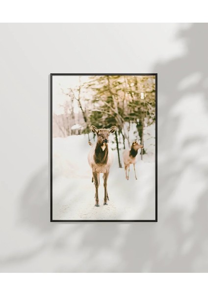 Karda Yürüyen Geyikler Poster