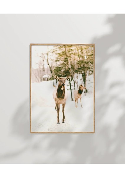 Karda Yürüyen Geyikler Poster modelleri