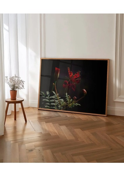 Karanlıkta Kırmızı Kelebek Poster indirimleri