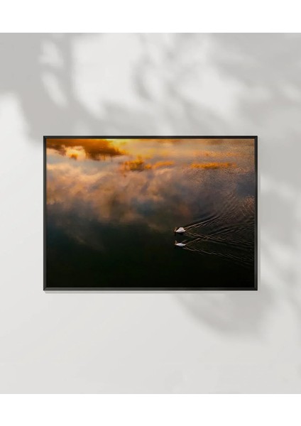 Sisli Göl Üzerinde Kuş Poster
