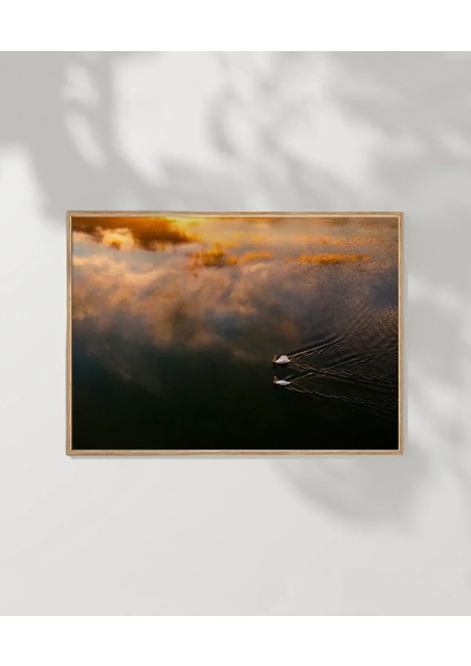 Sisli Göl Üzerinde Kuş Poster modelleri