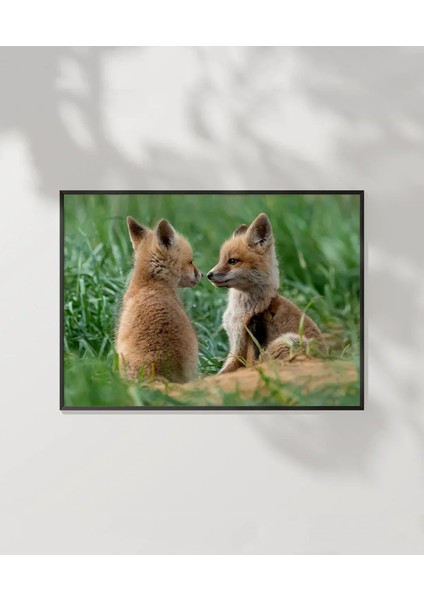 Tilki Dostluğu Poster