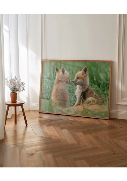 Tilki Dostluğu Poster fırsatları