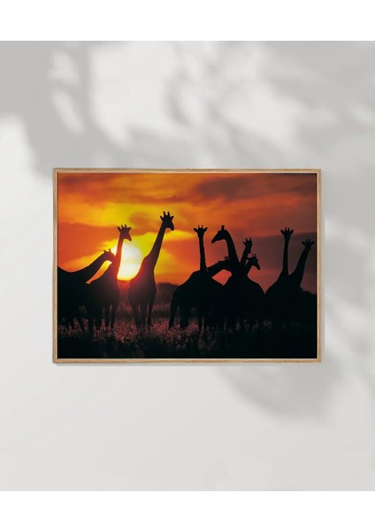 Gergedanlar Poster modelleri