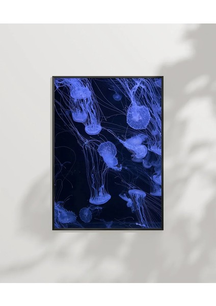 Mavi Denizanası Poster