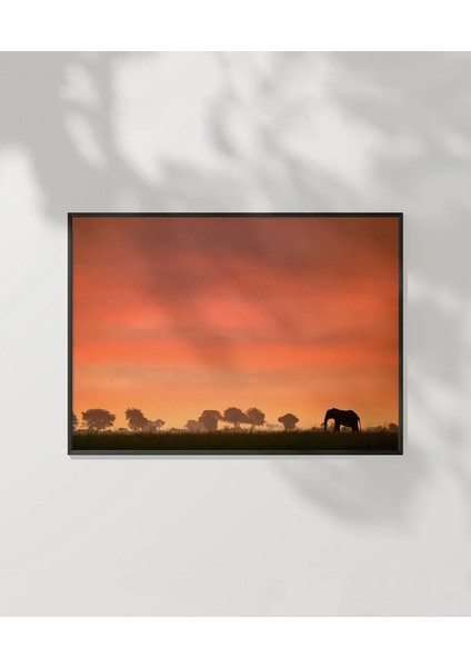 Afrika Gün Batımı Poster