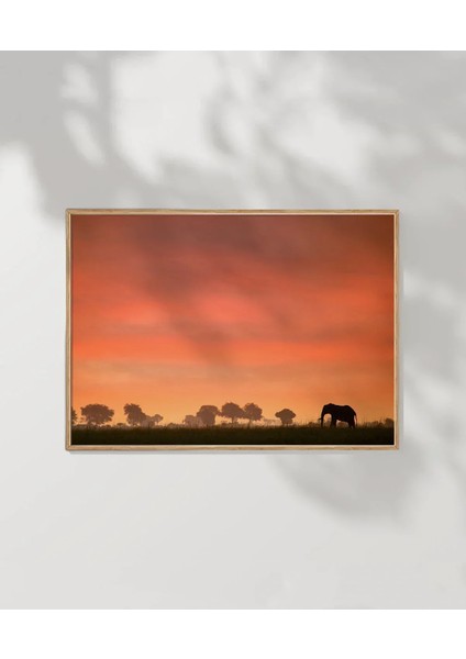 Afrika Gün Batımı Poster modelleri