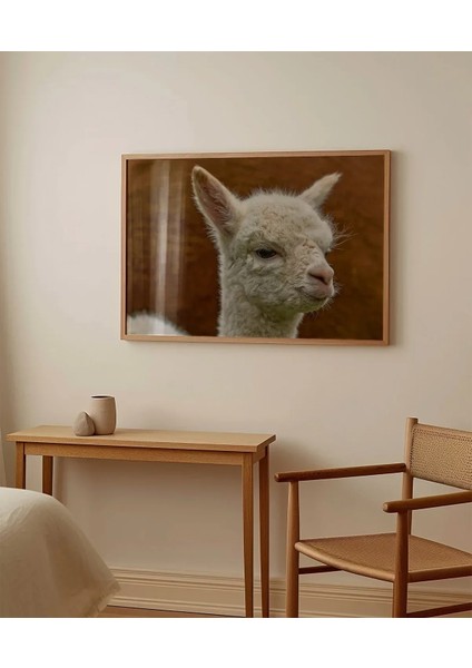 Sevimli Lama Poster indirimleri