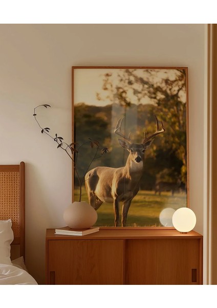 Gün Batımında Geyik Poster fırsatları