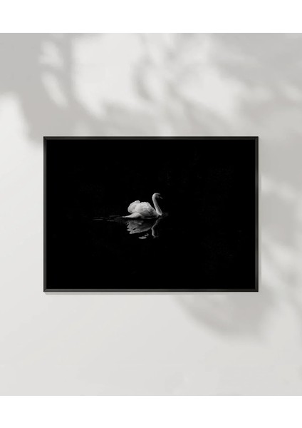 1. Zarif Kuğu Poster