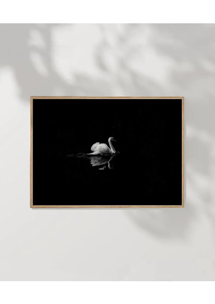 1. Zarif Kuğu Poster modelleri