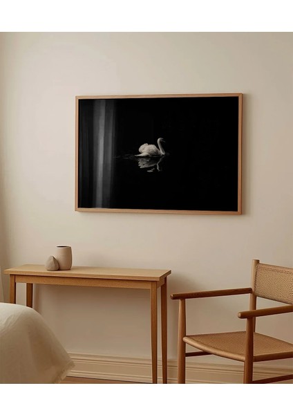 1. Zarif Kuğu Poster fırsatları