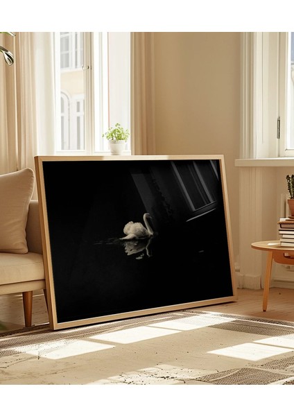 1. Zarif Kuğu Poster indirimleri