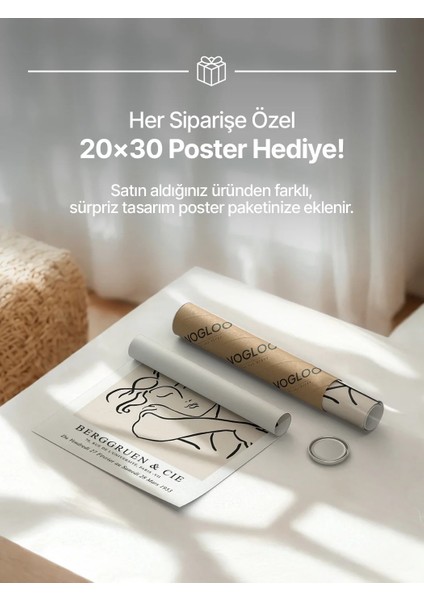 1. Kolibri Kuşu Poster fiyatları