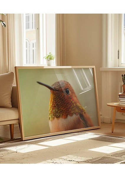 1. Kolibri Kuşu Poster indirimleri