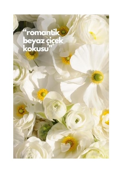 Alya Nature's Scents White Flowers - Beyaz Çiçekler Oda Kokusu Yedek Makine Spreyi 250 ml