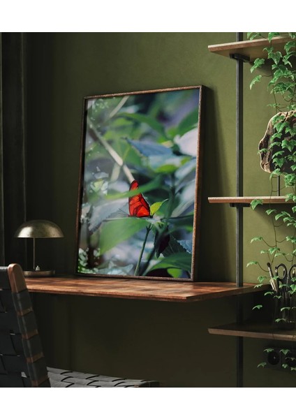 Yeşil Yaprak Üzerinde Kırmızı Kelebek Poster indirimleri