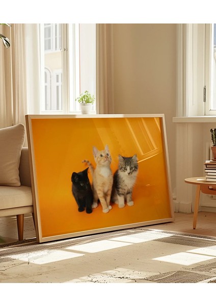 1. Renkli Kedi Üçlüsü Poster indirimleri