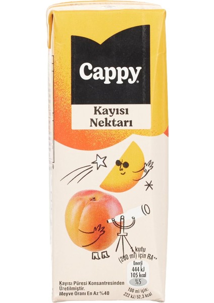 Cappy Kayısı Nektarı Karton Kutu 27X200 ml modelleri