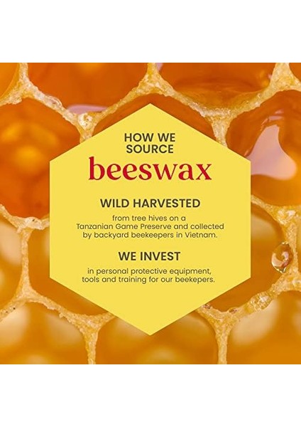 Burt's Bees 2li Lip Balm Set (Beeswax + Vanilya) modelleri