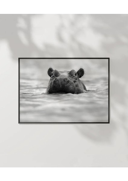 Suda Suaygırı Poster