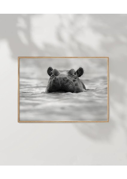 Suda Suaygırı Poster fırsatları