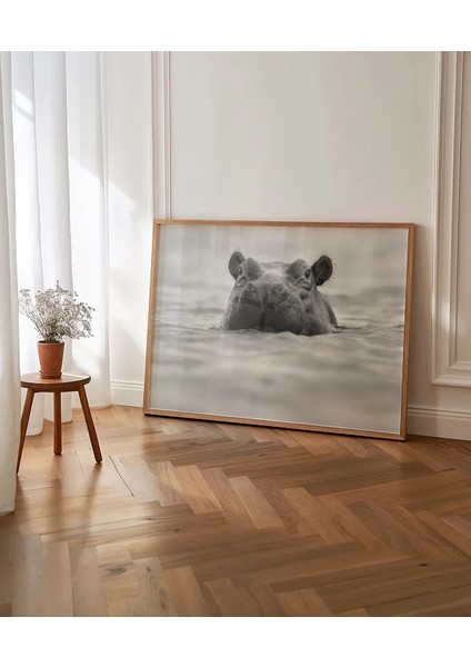 Suda Suaygırı Poster indirimleri