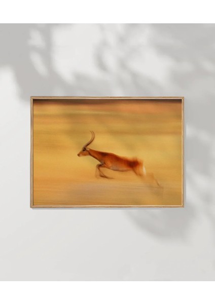 Çöl Antilobu Poster fırsatları