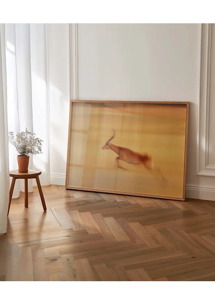 Çöl Antilobu Poster indirimleri