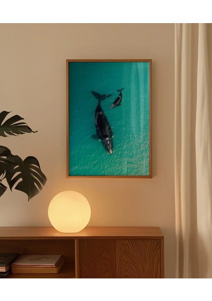 Mavi Denizde Yüzen Balinalar Poster fırsatları