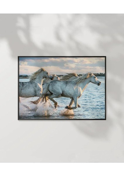 Denizdeki Atlar Poster