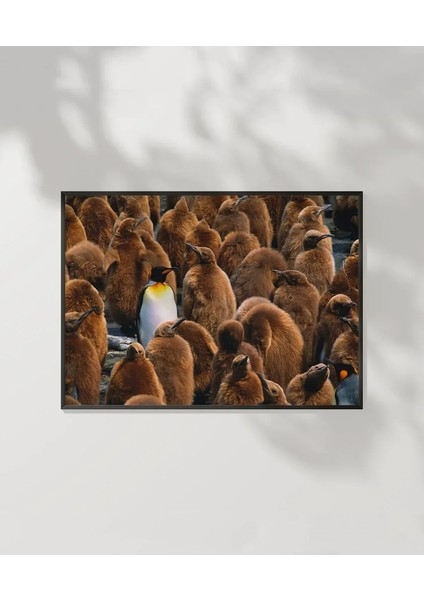 Penguenler Arasında Poster