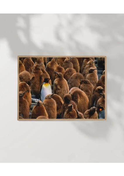 Penguenler Arasında Poster fırsatları