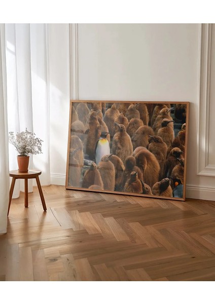 Penguenler Arasında Poster indirimleri