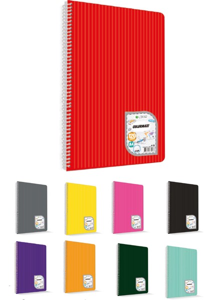 Çınar Colormaxi Spiralli Defter Plastik Kapak Çizgili 60 Yp (12 Adet Fiyatıdır)A4 60/1 73013
