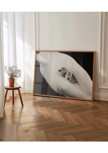 Beyaz Kuş Poster indirimleri