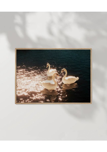 Swanlar Gölü Poster modelleri