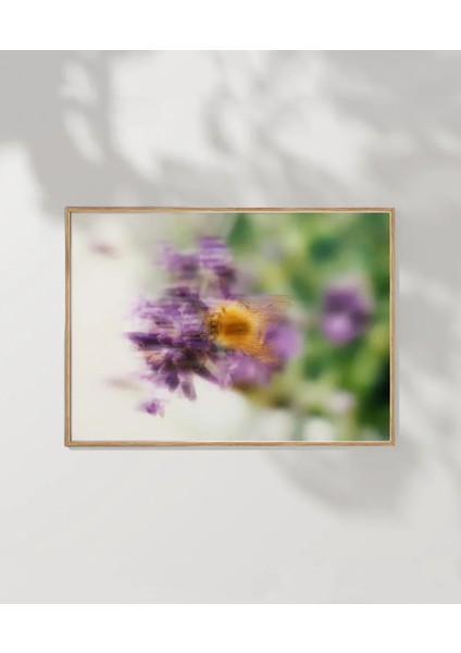 Doğal Çiçek Poster fırsatları