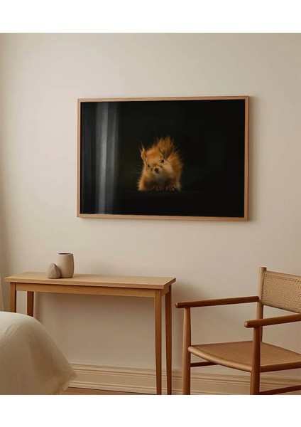 Meraklı Sincap Poster fırsatları