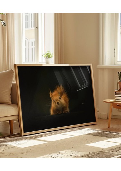 Meraklı Sincap Poster indirimleri