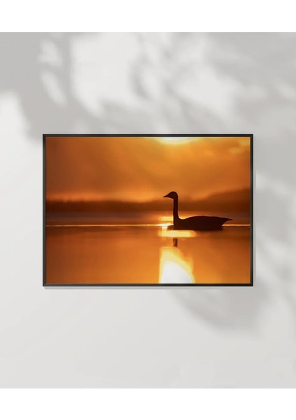 Gün Batımında Kuğu Poster