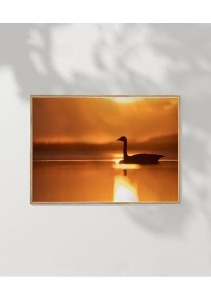Gün Batımında Kuğu Poster fırsatları
