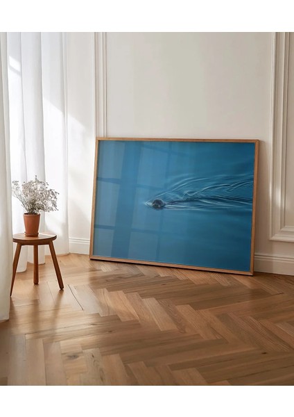 Mavi Suda Yüzen Su Samuru Poster indirimleri